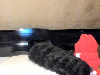 Sexy teen ebony solo toy masturbation